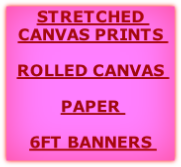 STRETCHED CANVAS PRINTS 

ROLLED CANVAS 

PAPER 

6FT BANNERS 